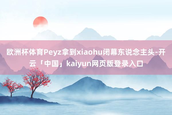 欧洲杯体育Peyz拿到xiaohu闭幕东说念主头-开云「中国