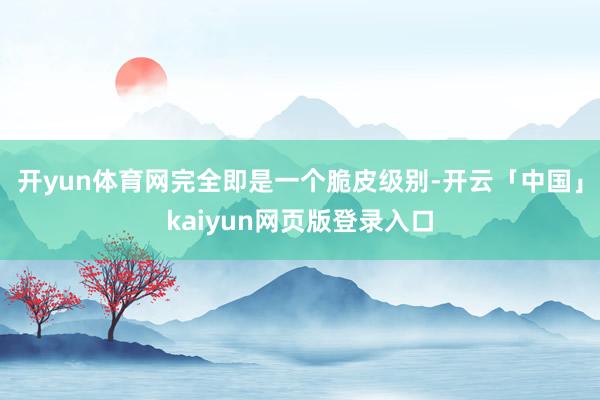 开yun体育网完全即是一个脆皮级别-开云「中国」kaiyun网页版登录入口