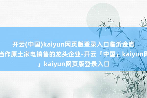 开云(中国)kaiyun网页版登录入口　　临沂金鹰市场有限公