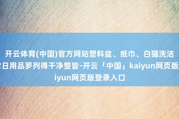开云体育(中国)官方网站塑料盆、纸巾、白猫洗洁精等寻常日用品罗列得干净整皆-开云「中国」kaiyun网页版登录入口