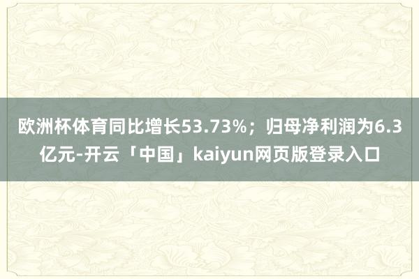 欧洲杯体育同比增长53.73%；归母净利润为6.3亿元-开云