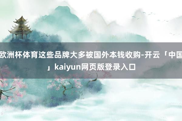 欧洲杯体育这些品牌大多被国外本钱收购-开云「中国」kaiyu