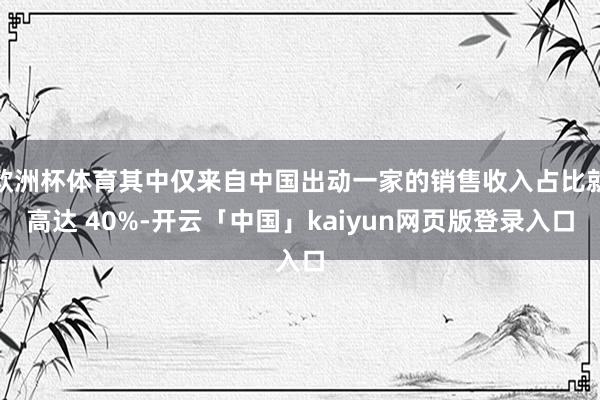 欧洲杯体育其中仅来自中国出动一家的销售收入占比就高达 40%