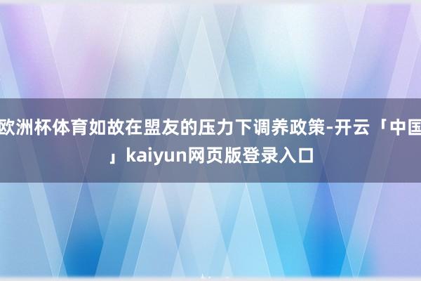 欧洲杯体育如故在盟友的压力下调养政策-开云「中国」kaiyu