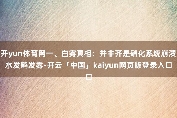 开yun体育网一、白雾真相：并非齐是硝化系统崩溃水发鹤发雾-