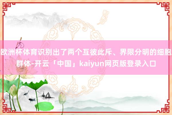 欧洲杯体育识别出了两个互彼此斥、界限分明的细胞群体-开云「中