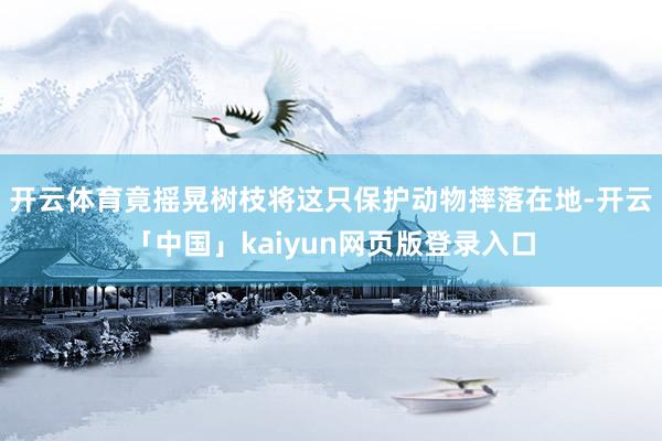 开云体育竟摇晃树枝将这只保护动物摔落在地-开云「中国」kaiyun网页版登录入口
